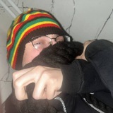 Telegram profile photo for lacoste