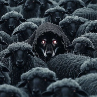 Telegram profile photo for ناخدا