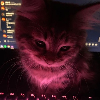 Telegram group profile photo for ВЗ ПОДПИСКИ | ПИАР