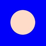 Telegram profile photo for $BALD