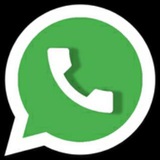Telegram profile photo for WhatsAppMax - WhatsAppPro