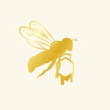Telegram profile photo for Natural Super Food