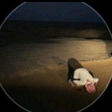 Telegram profile photo for الجبرتي 2