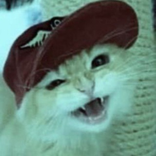Telegram profile photo for SwagCat Store