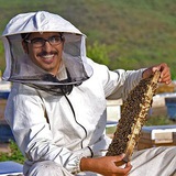 Telegram profile photo for نحل منفرد
