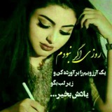 Telegram profile photo for کانال تلخ و شیرین..........