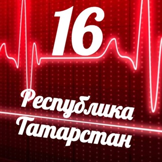 Telegram profile photo for Мониторинг 16 Республика Татарстан