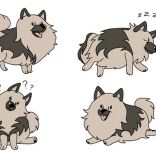 Telegram profile photo for Keeshond Inu $KEESH (PORTAL)