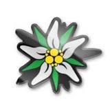 Telegram profile photo for Freie Bürger in Rostock