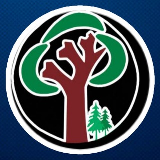 Telegram profile photo for کانال رسمی نکاچوب