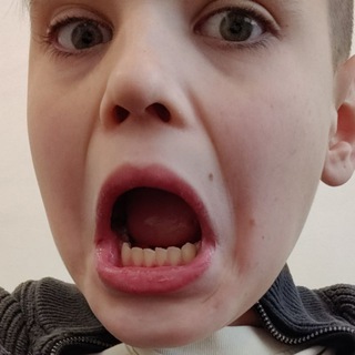 Telegram profile photo for "Телега с Навозом"