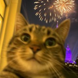 Telegram profile photo for Розыгрыши от Кота Маркиса