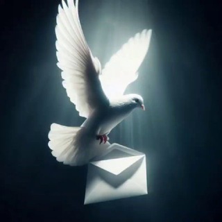 Telegram profile photo for رهایی | ترک پورنوگرافی