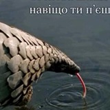 Telegram profile photo for Распродажа м. Руставели