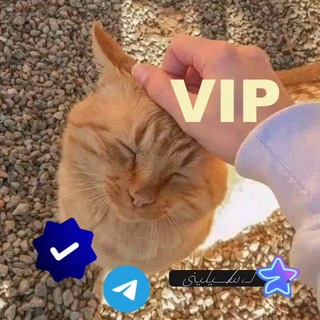 Telegram profile photo for لـ، س̷ـــيليني❤️🔥🇱🇾