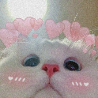 Telegram profile photo for Котя Cards | Чат