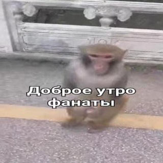 Telegram group profile photo for МГ ФЛУД
