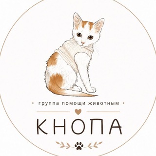 Telegram profile photo for группа помощи «Кнопа»
