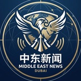 Telegram profile photo for 中东环球观察