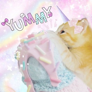 Telegram profile photo for архив миу юникорн кэт 2