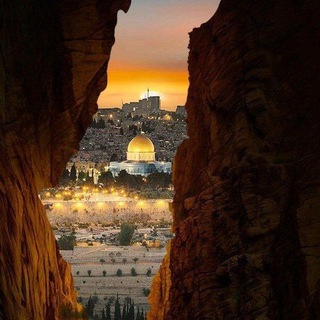 Telegram profile photo for بـٓـصِــيـــرٓةٌ💚🇵🇸