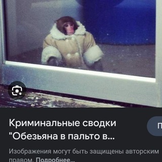 Telegram profile photo for ультра хвох