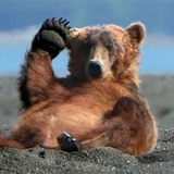 Telegram profile photo for Chill Baer´s Welt aus Musik, Kunst und guten Nachrichten.