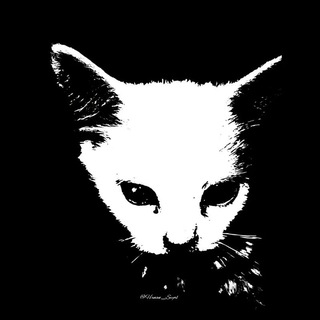 Telegram profile photo for озеро утопленных