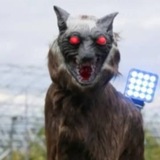 Telegram profile photo for всратые приколы и не только