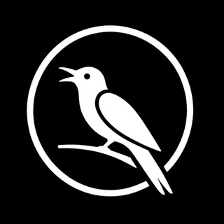 Telegram profile photo for QQ