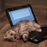 Telegram profile photo for Продаю канал