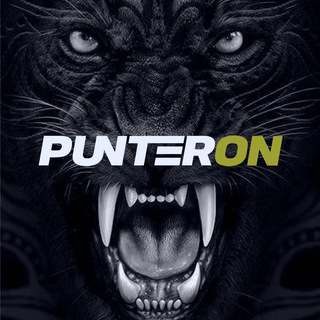 Telegram profile photo for Punter On official