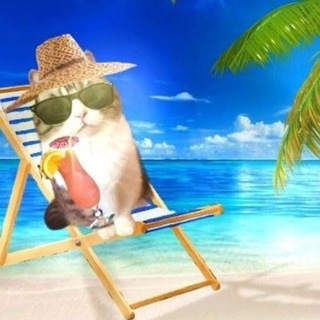 Telegram profile photo for Архив : Чача