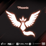 Telegram profile photo for PUBG pnxTEAM〆