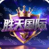 Telegram profile photo for 胜天国际电子PG