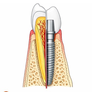 Telegram profile photo for Dental books lib