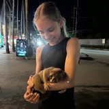 Telegram profile photo for kirawqs архив