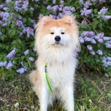Telegram profile photo for Ханна пЗвезда