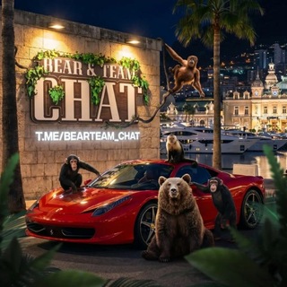Telegram profile photo for Bear Team Chat 🐻