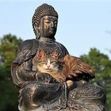 Telegram profile photo for Эа