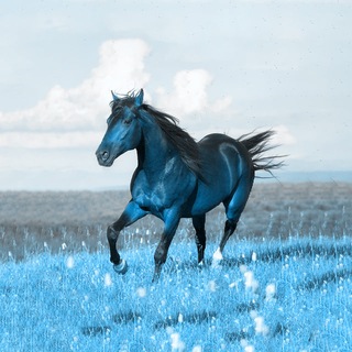 Telegram profile photo for متریال