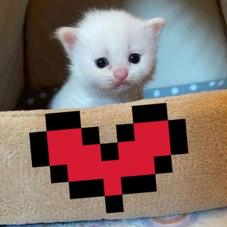 Telegram profile photo for Нежная пикча 💗