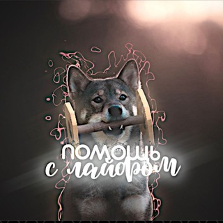 Telegram profile photo for Помощь с лайфом