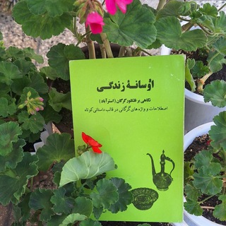 Telegram profile photo for گویش استرابادی
