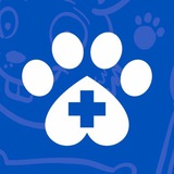 Telegram profile photo for VetZabota
