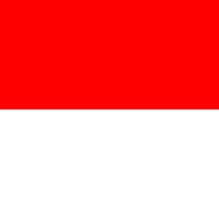Telegram profile photo for ๐ฎ๐ฉ Indonesia Harian โขย Indonesia Daily