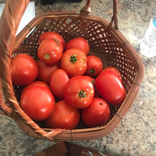 Telegram profile photo for Nationalist Food Preservation