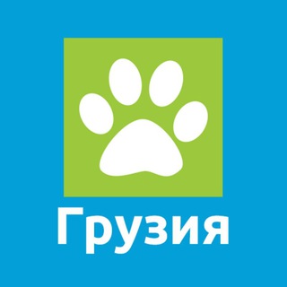 Telegram profile photo for Грузия на Краю Земли