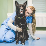 Telegram profile photo for Ветврач Анастасия Егорова