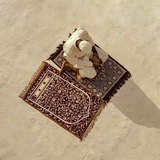 Telegram profile photo for المَيّ.